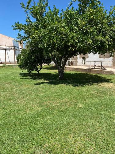 สวน, Sayani Posada in ชิลเลซิโต