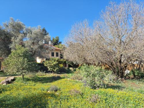 פינה ללב in 羅什平納市中心