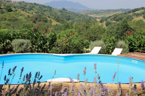 Holiday Villa in Sabina with Private Pool, Catino