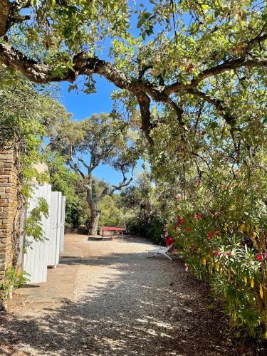 Villa Provençale Vue Mer Villa Provençale Vue Mer