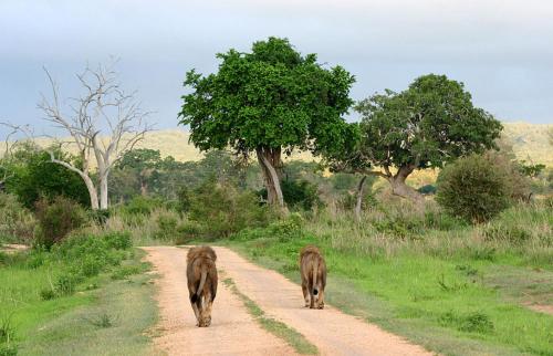 Kingsway Hotel Morogoro图片