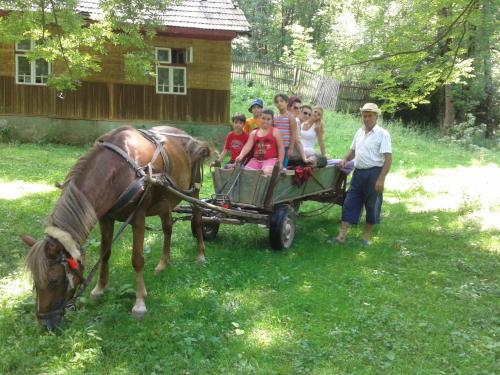 Pension Sf Nicolae Pension Sf Nicolae