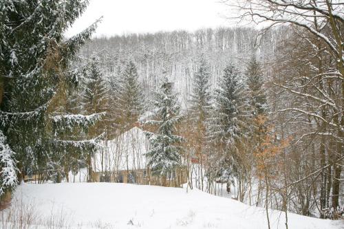 Dārzs, Harangvirag 36 Apartman in Verocemarosa