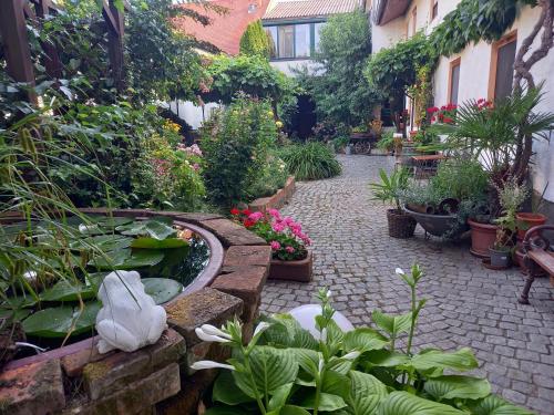 Winzerhof Fleischmann in Kleinhöflein, Österreich
