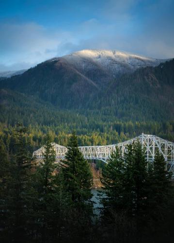 Luxury Cabin with Outdoor Tub ArtBliss IV