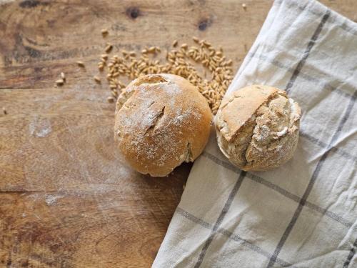 Caravan on eco farm with external bathroom - Bjorngarden in Edsbjorke