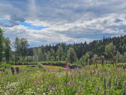 Caravan on eco farm with external bathroom - Bjorngarden in Edsbjorke