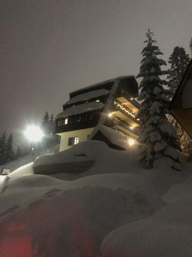 MONTANA - Apartment - Jahorina