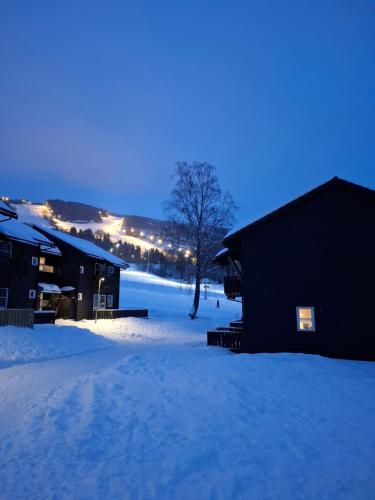 Eksterijer hotela, Koselig leilighet med Ski Bike in and out Nr 34 in Oyer