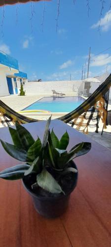 Flat Brisa do Mar in Pitimbu