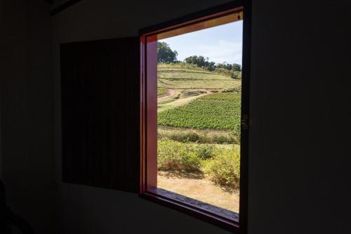 Skats, Vinícola Três Batalhas (Vinicola Tres Batalhas) in Águas Da Prata