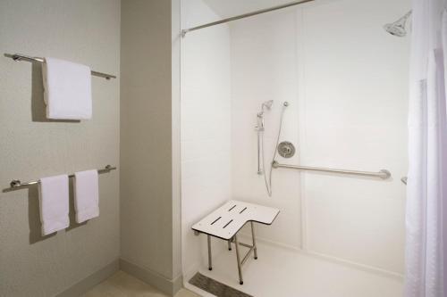Holiday Inn Express & Suites New Braunfels an IHG Hotel - image 10