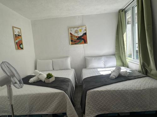 Casa Zakura in Zona 12