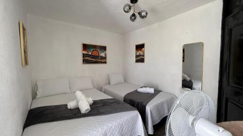 Casa Zakura in Zona 12