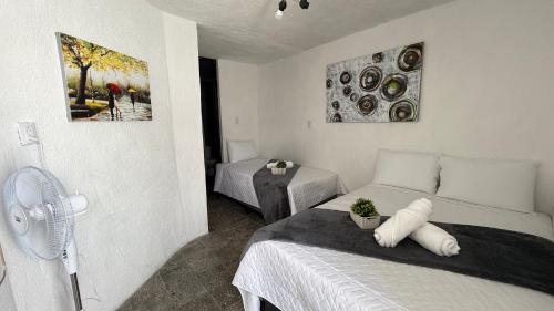 Casa Zakura in Zona 12