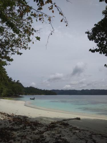 Aldy homestay in Raja Ampat