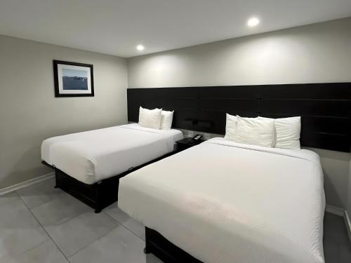2 queen beds