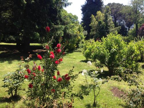 Villa Abbamer - image 5