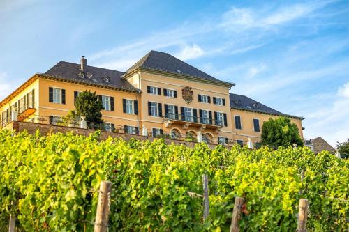 Nabij attractie, charmantes Apartment mit voll ausgestatteter Küche, Kingsize-Betten, Billard & Tischkicker (charmantes Apartment mit voll ausgestatteter Kuche, Kingsize-Betten, Billard & Tischkicker) in Eltville am Rhein