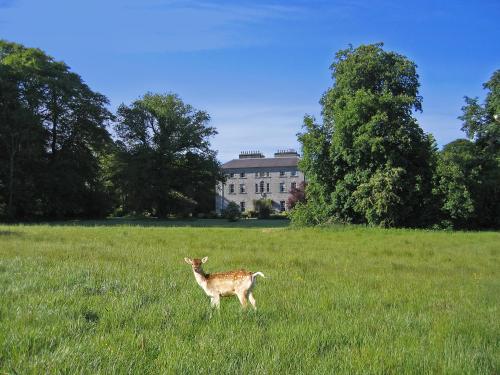 Coopershill House - image 5