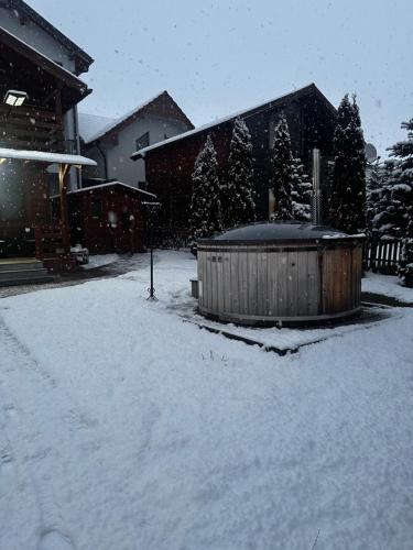 Cabana Irina Băile Figa (Cabana Irina Baile Figa) in Beclean