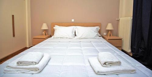 Peaceful Renovated Apartment Near Lycabettus Hill, Atenas (foto 3)