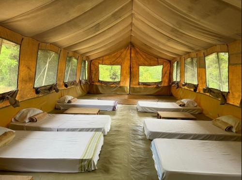 12 twin beds