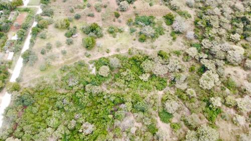 酒店周边, Arcadia East Africa Bush Camp in 奇利菲