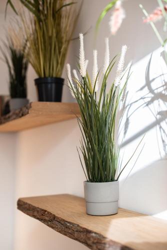 Gewölbewohnung mit Terrasse, Drážďany (fotografie 8)