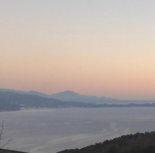 熱海ぱなしぇ