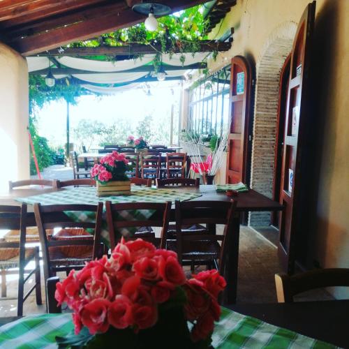 Agriturismo Terra Sabina in Poggio Mirteto