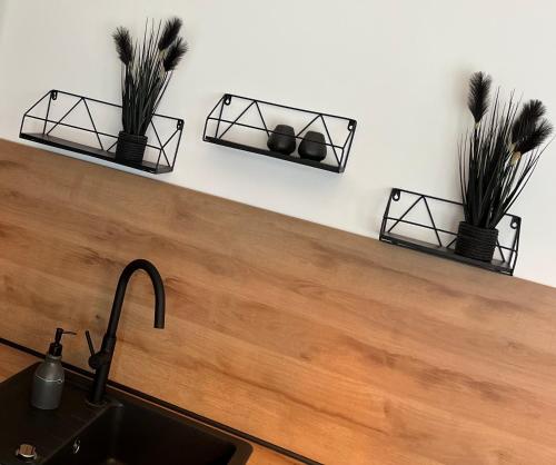 ANER2 STYLISCHE Ferienwohnung mit Sauna in Dresden Weißer Hirsch, Drážďany (fotografie 7)