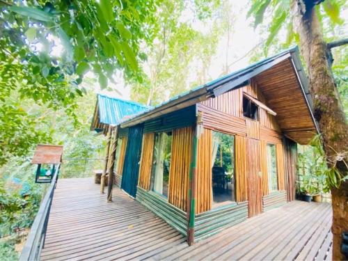 Khaosok Treehouse Resort in Khao Sok (Suratthani)