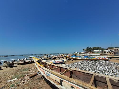 Nioko Bokk Nioko Bokk