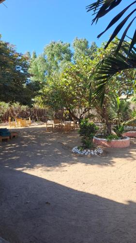 Nioko Bokk Nioko Bokk