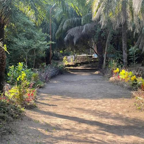 Nioko Bokk Nioko Bokk