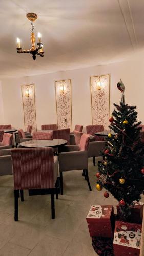 Poiana Stelelor in 芬特奈里