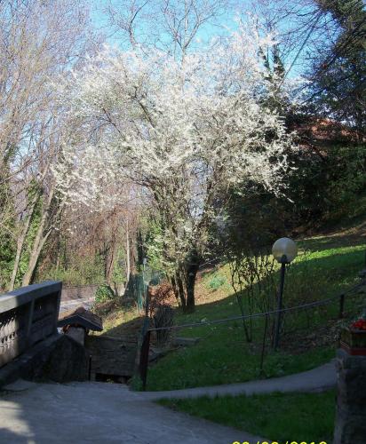 景觀, 伊格里住宿加早餐旅館 (B&B I Ghiri) in 貝加莫郊區