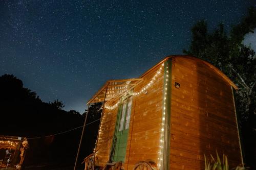 Poiana Stelelor in 芬特奈里