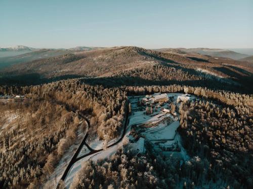 Kocierz Hotel & SPA - image 14