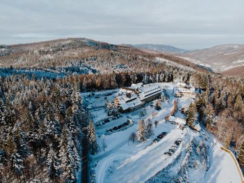 Kocierz Hotel & SPA - image 8