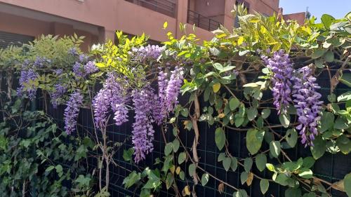 Villa 3 chambres avec piscine privée sur golf Villa 3 chambres avec piscine privée sur golf