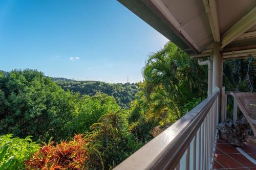 Villa Caféière (Villa Cafeiere) in Le Carbet