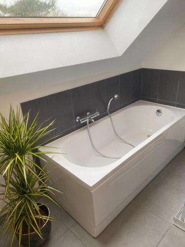 Bathroom, Gite de l'Epinay Cassis in Saint-Saens