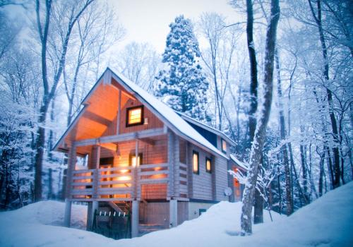 大雪山國家森林遊樂區