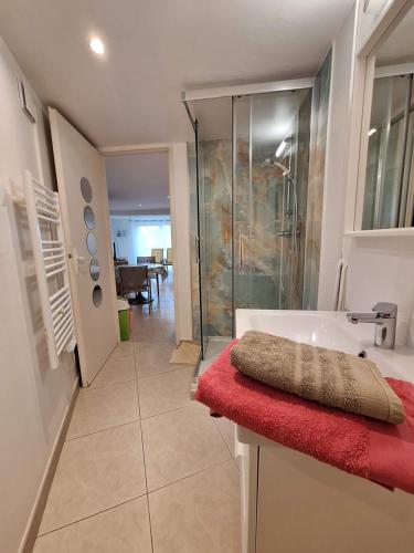 Shower, Studio d'Hotes les Libellules in Castelnau-le-Lez