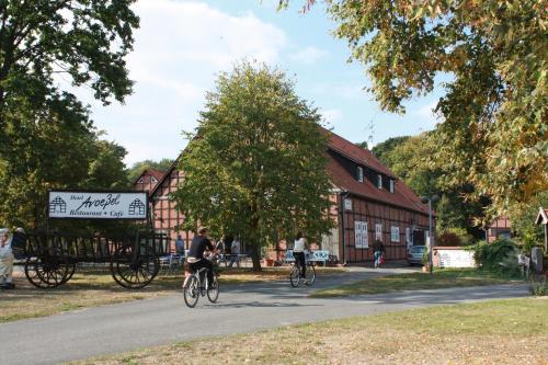 . Avoeßel