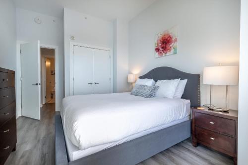 Luxury 2 BR Apt with Gym Luxury 2 BR Apt with Gym