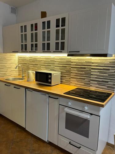 One-Bedroom Apartment image 9
