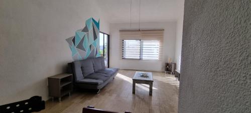 departamento sophia